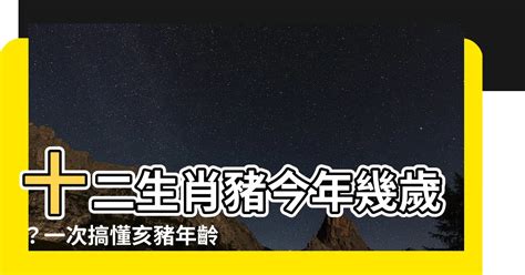 豬年次|屬豬今年幾歲？2024屬豬生肖年齡對照表！屬豬性格特質